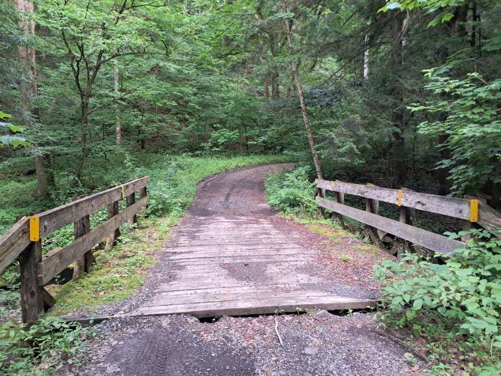 Untitled [Expires July 27 2024]