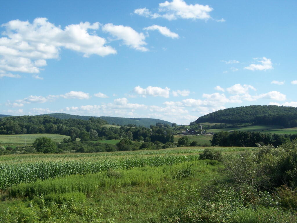 South East from Farm Tower.