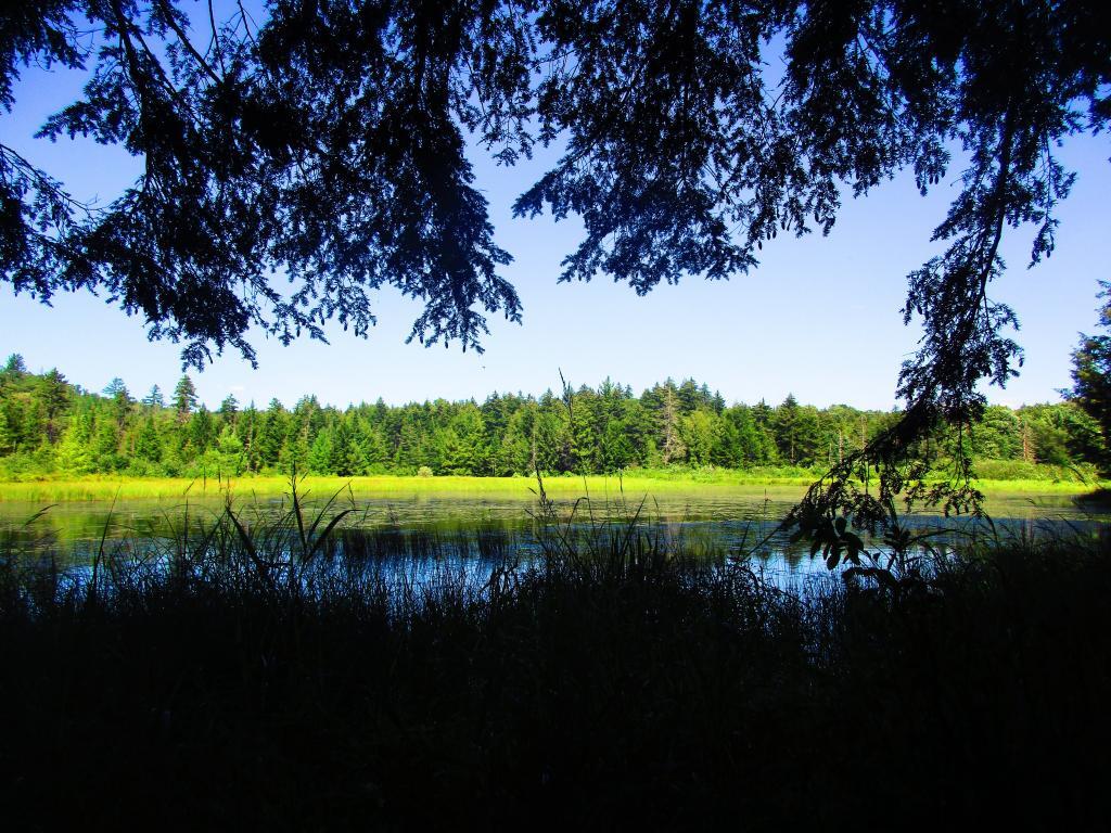 East Canada Creek Below Edick Road Ledge