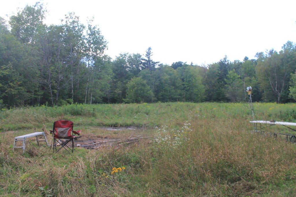 Field Camping at Romance Header Campsite