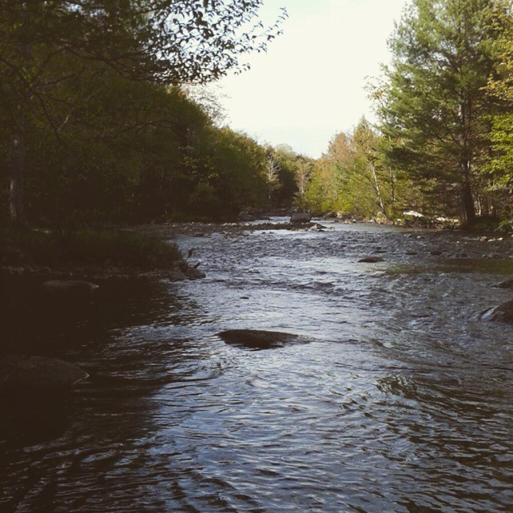 Black River