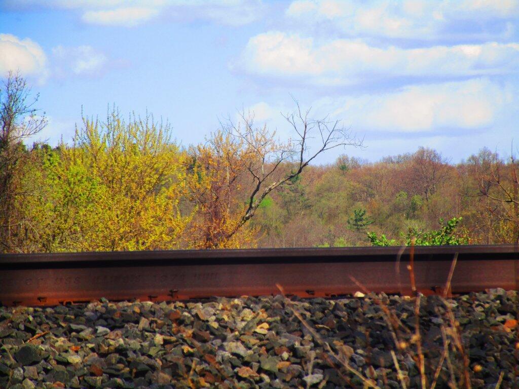 Steel Rail Heard The News