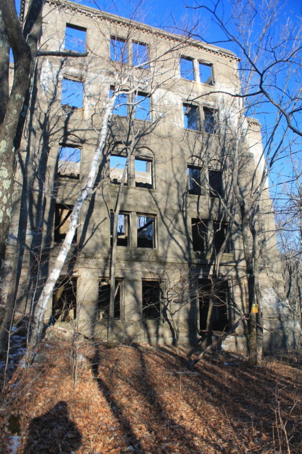 Photo: Windows and a Shadow Photo: Windows and a Shadow