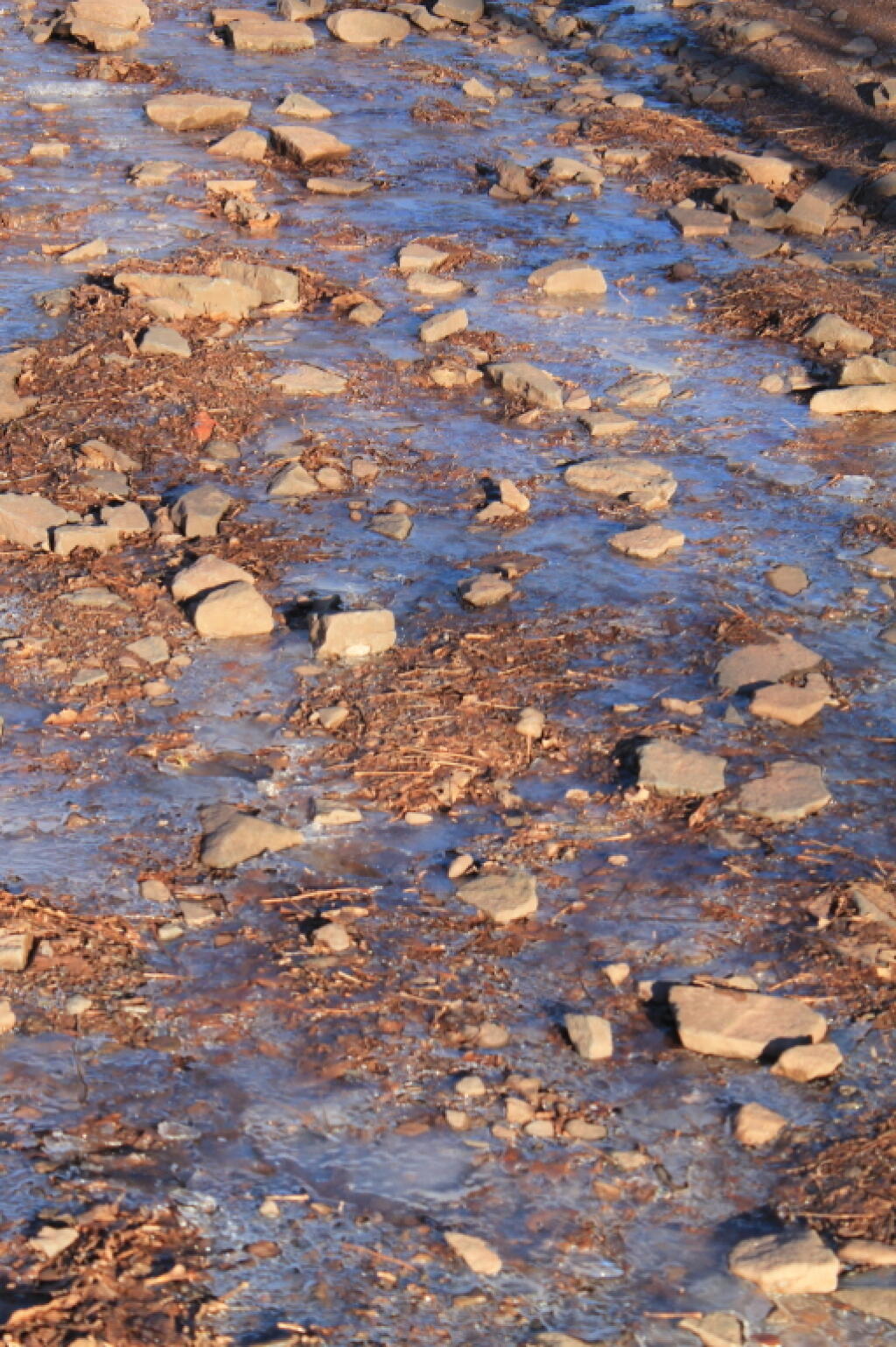 Photo: Icy Trail Photo: Icy Trail