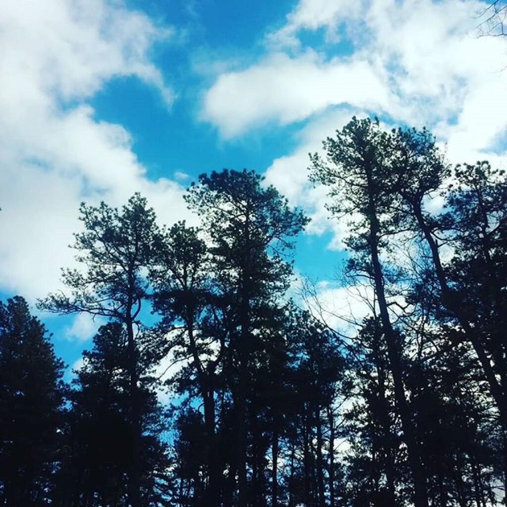 Photo: Kind of a chilly January day Photo: Kind of a chilly January day