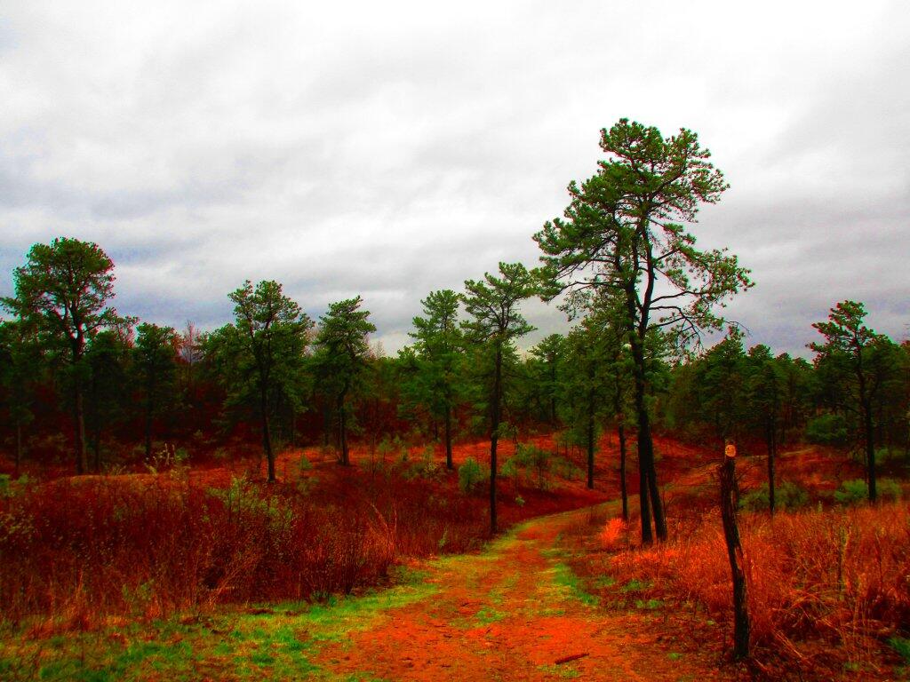 Photo: Cloudy Photo: Cloudy