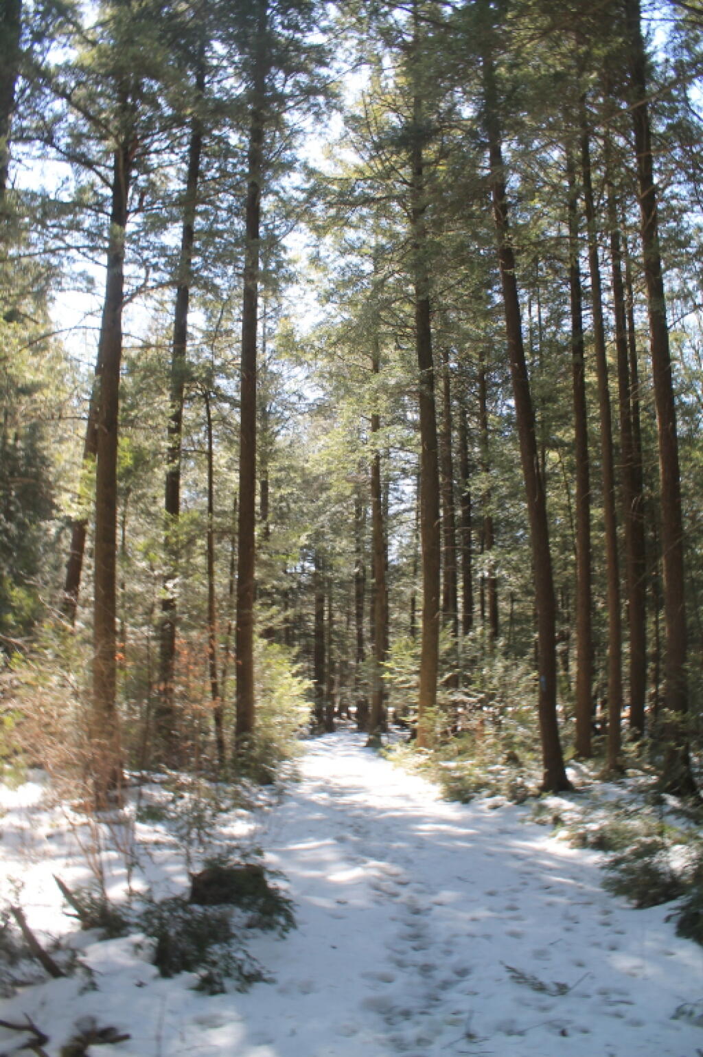 Photo: Photo.2013.04.05 12.54.26