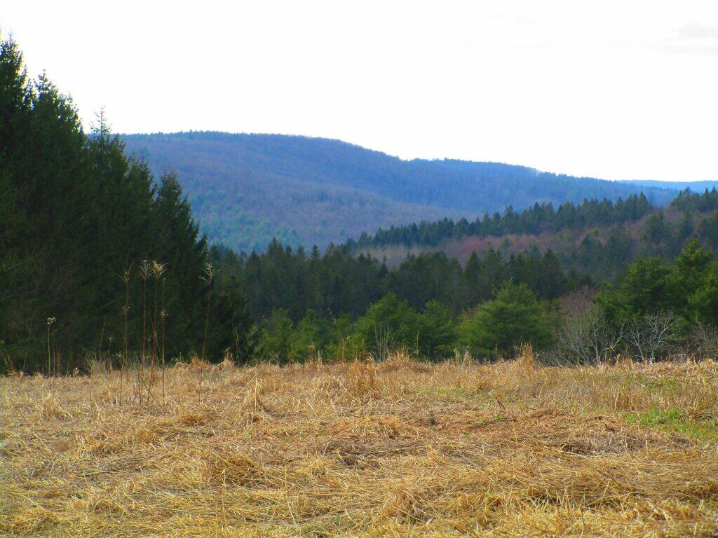 Photo: Hills Photo: Hills