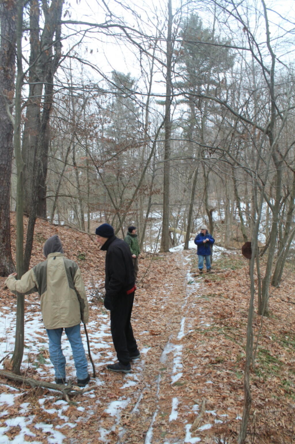 Photo: Old Woods Road Photo: Old Woods Road