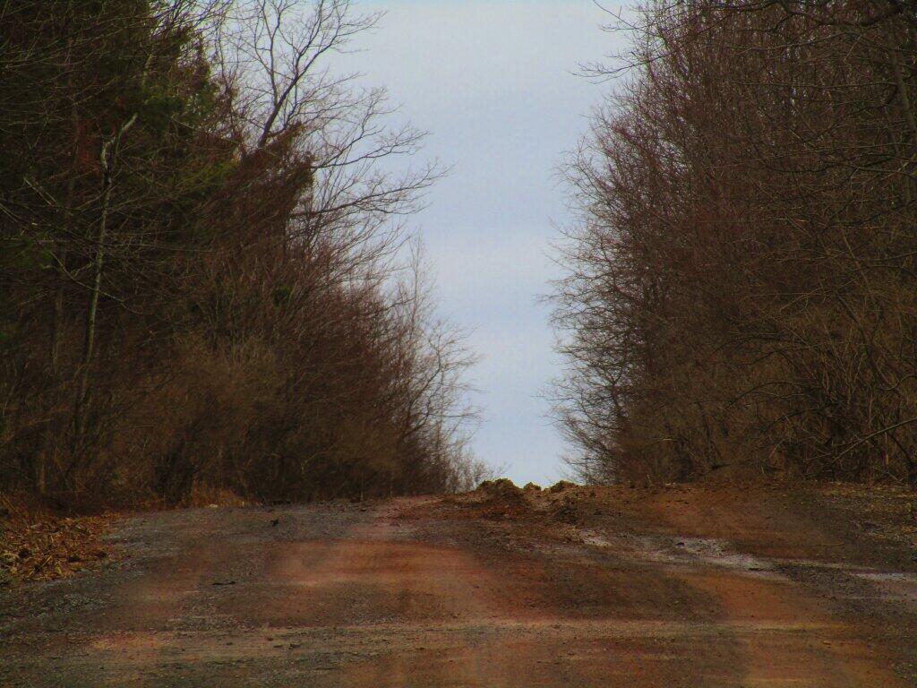 Photo: Rutted Photo: Rutted