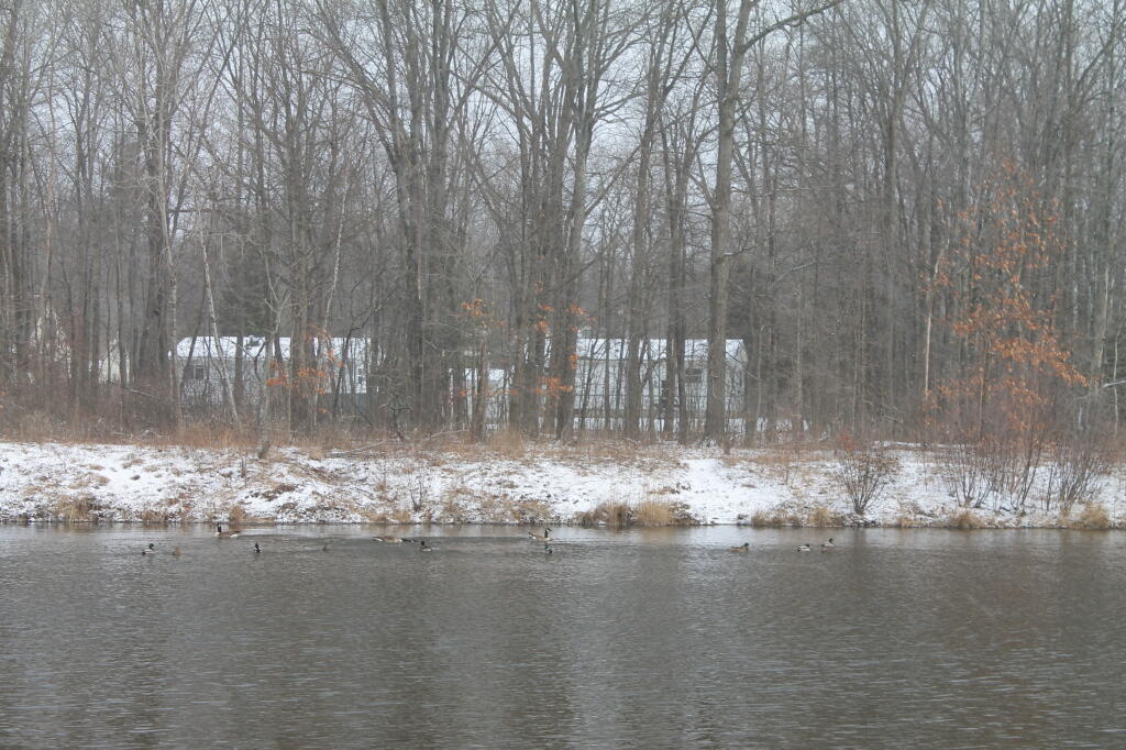 Photo: Across Preserve Pond Photo: Across Preserve Pond