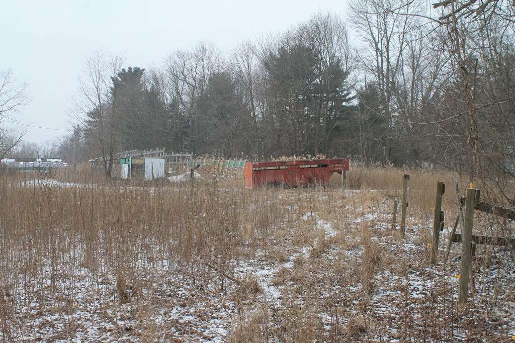 Photo: The Old Horse Farm in the Pine Bush Photo: The Old Horse Farm in the Pine Bush