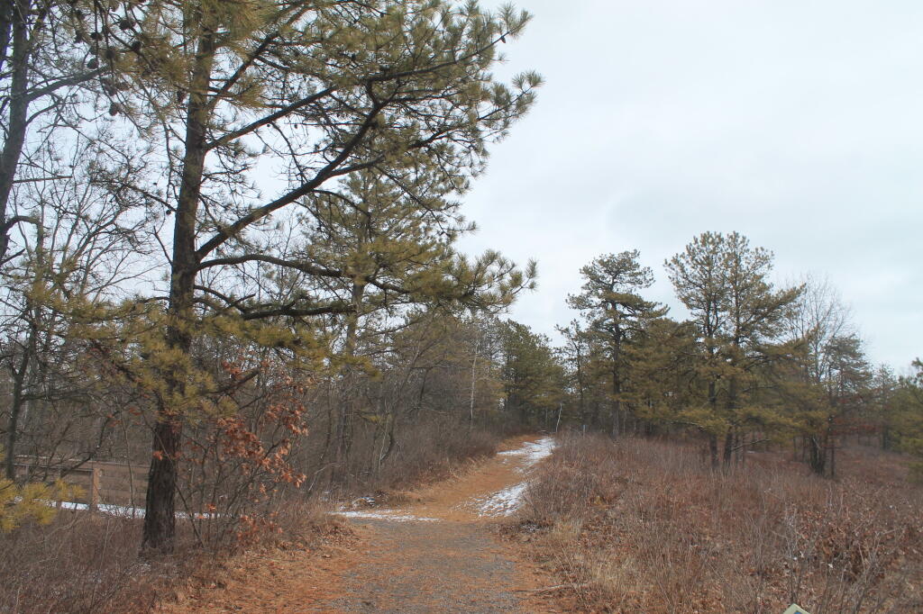 Photo: Dreary late winter day in the Barrens off Madison Ave Extension Photo: Dreary late winter day in the Barrens off Madison Ave Extension