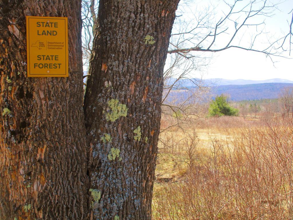 Photo: Hillcross Parcel is Now State Land Photo: Hillcross Parcel is Now State Land