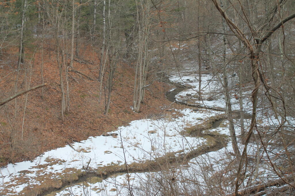 Photo: Kiakout Kill winds through late winter. Photo: Kiakout Kill winds through late winter.