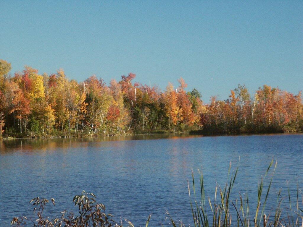 Photo: Lake Alice in Fall Photo: Lake Alice in Fall