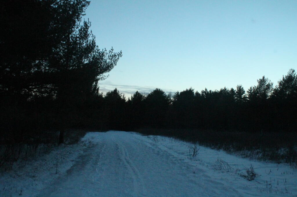 Photo: Framed by the Pitch Pines Photo: Framed by the Pitch Pines