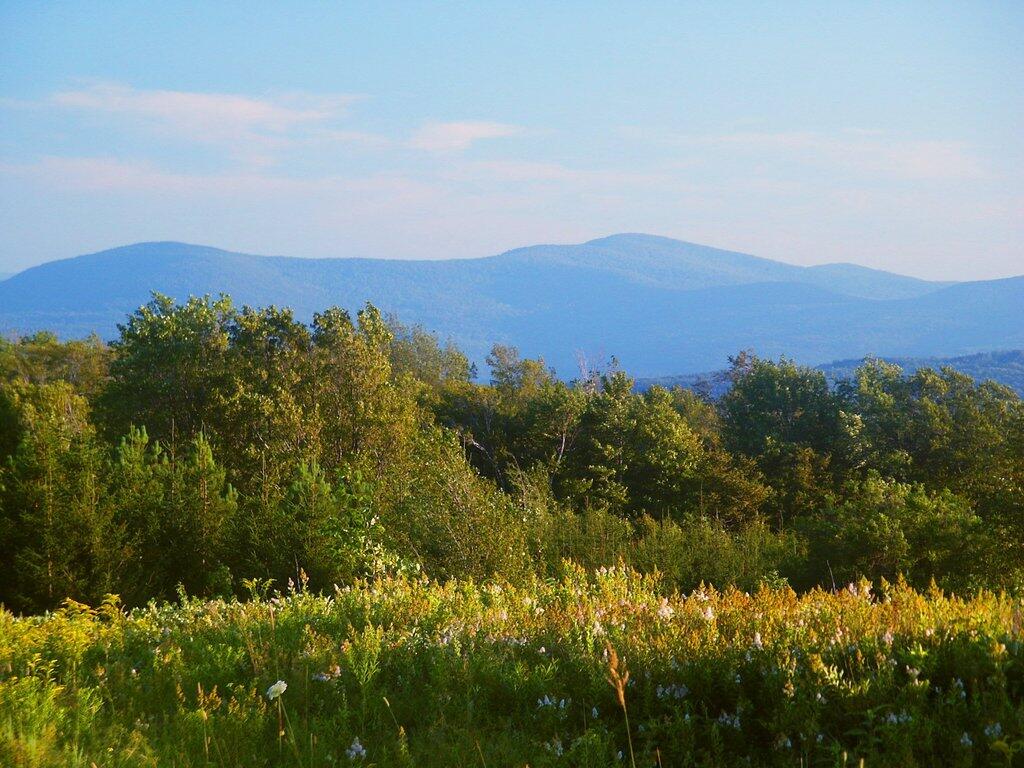 Photo: A spring day wandering fields of the OSI Parcel