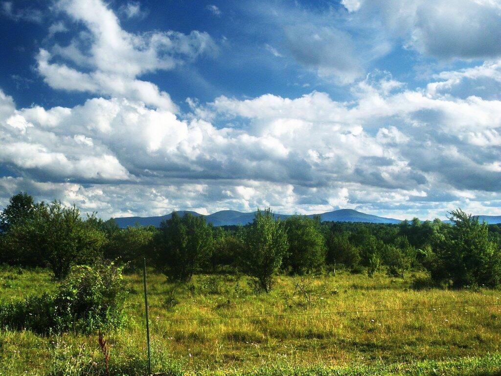 Photo: Pasture Along Bear Swamp Road