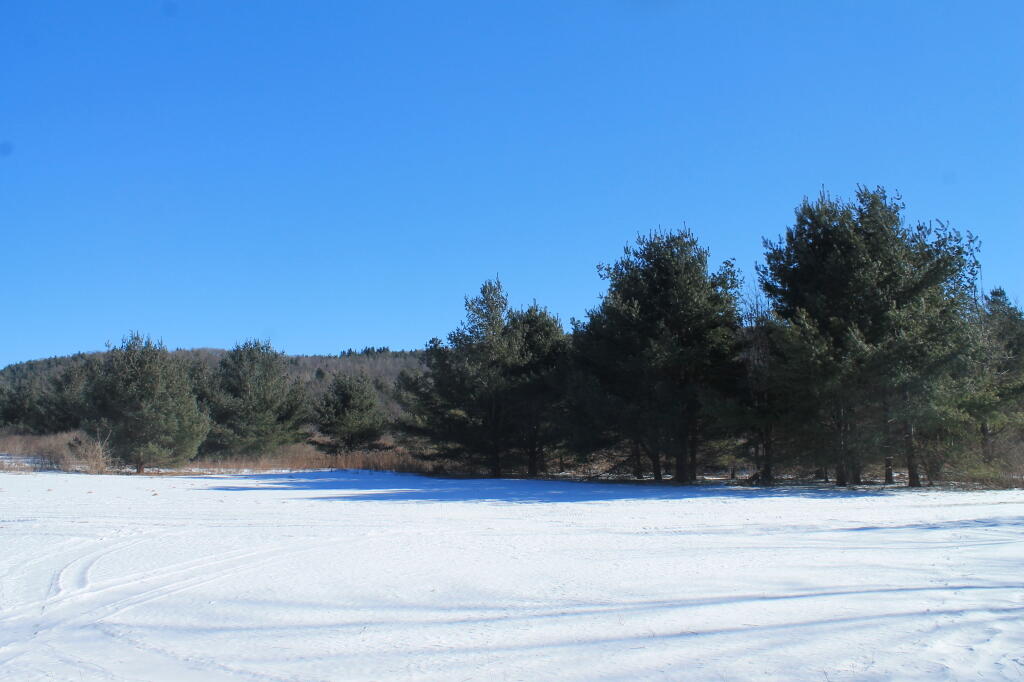 Photo: Bright Blue Skies Today Photo: Bright Blue Skies Today