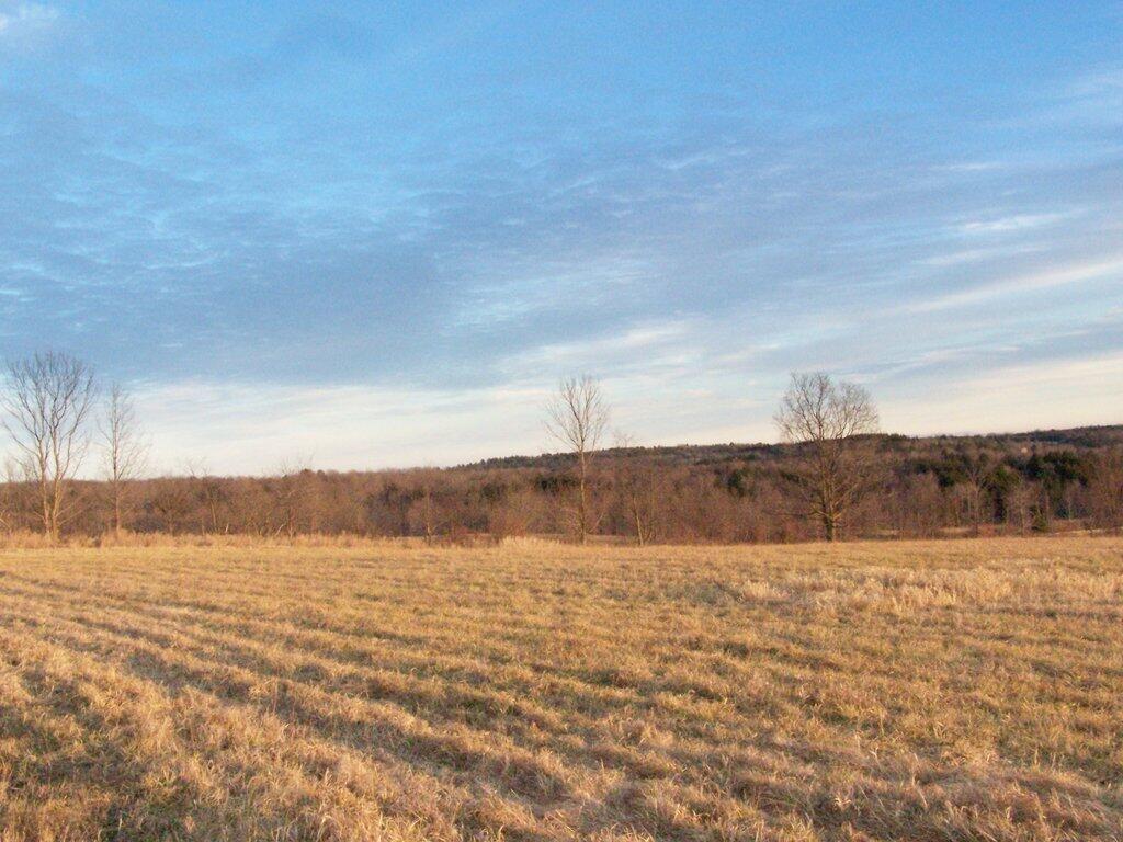 Photo: Field and Sky Photo: Field and Sky