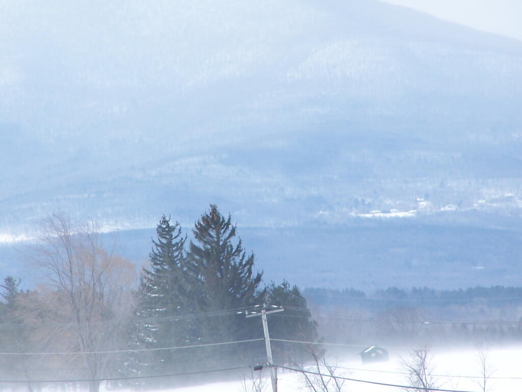 Photo: Snow