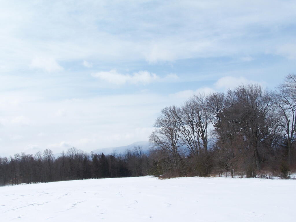 Photo: Cold