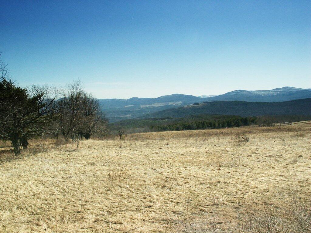 Photo: Spring Field Photo: Spring Field