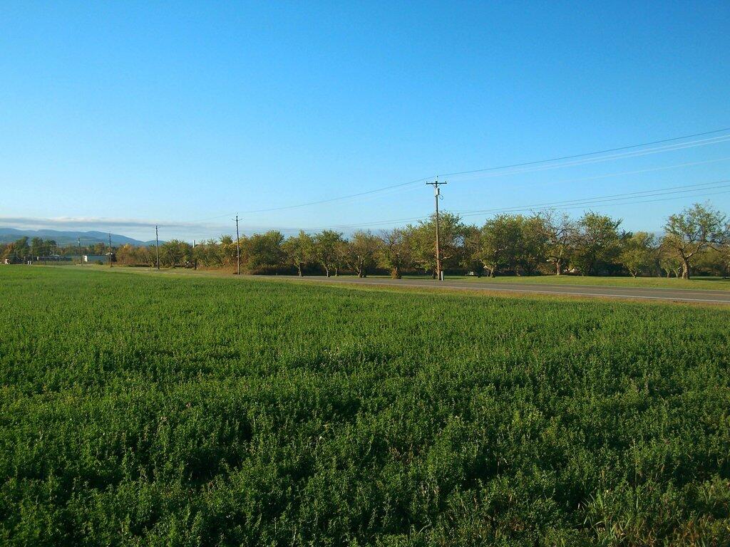 Photo: Apples and Alfalfa on a Beautiful Fall Day in Peru Photo: Apples and Alfalfa on a Beautiful Fall Day in Peru