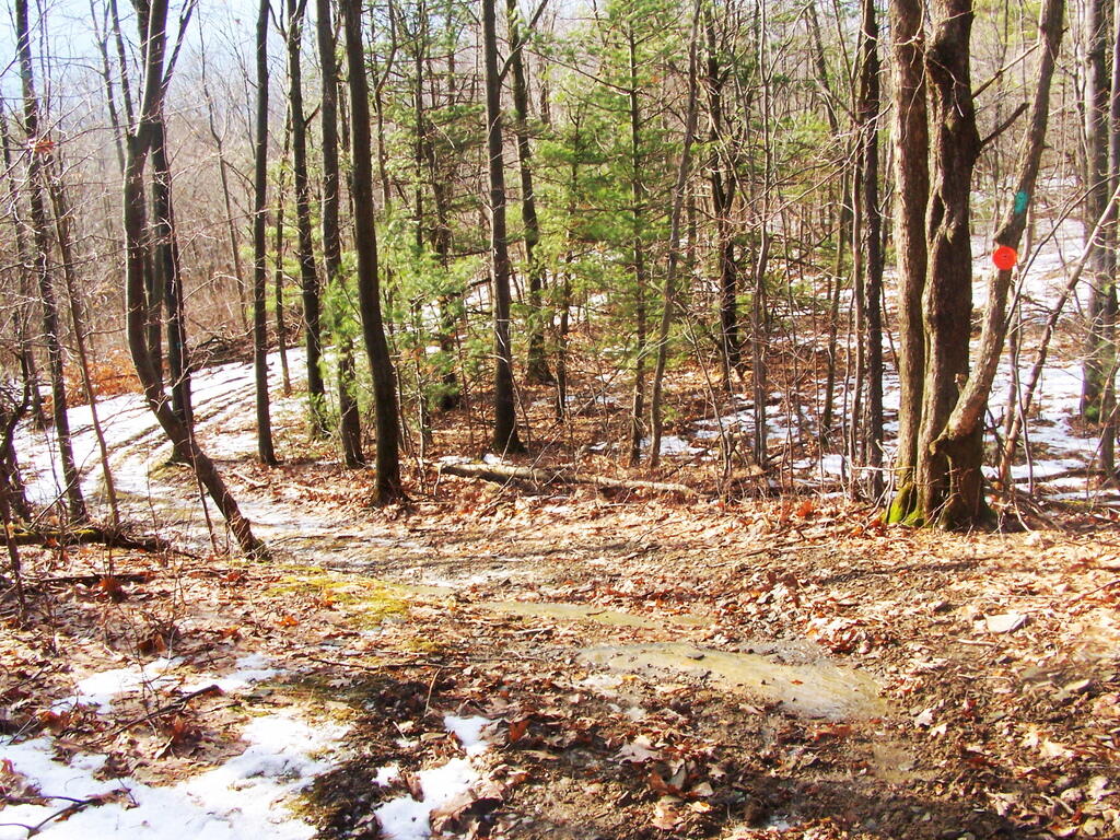 Photo: Snowmobile Trail Photo: Snowmobile Trail