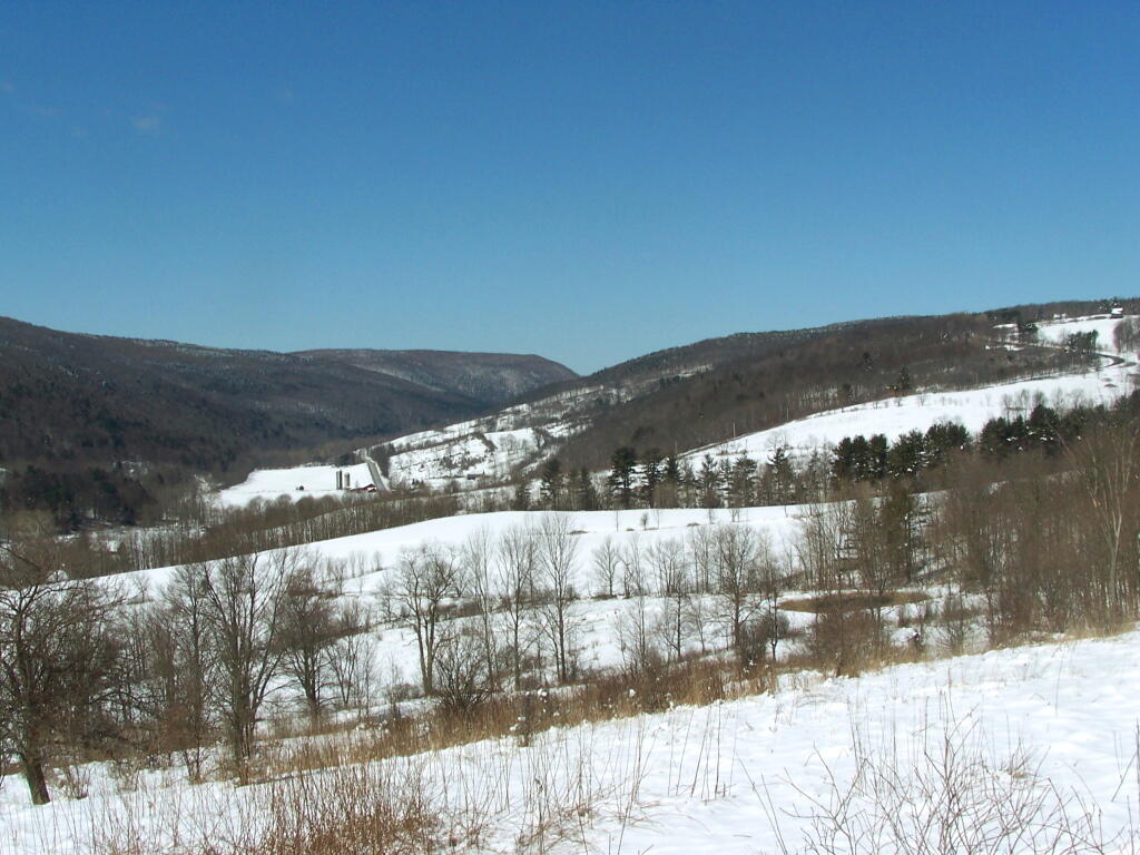 Photo: Potter Hollow Road Photo: Potter Hollow Road