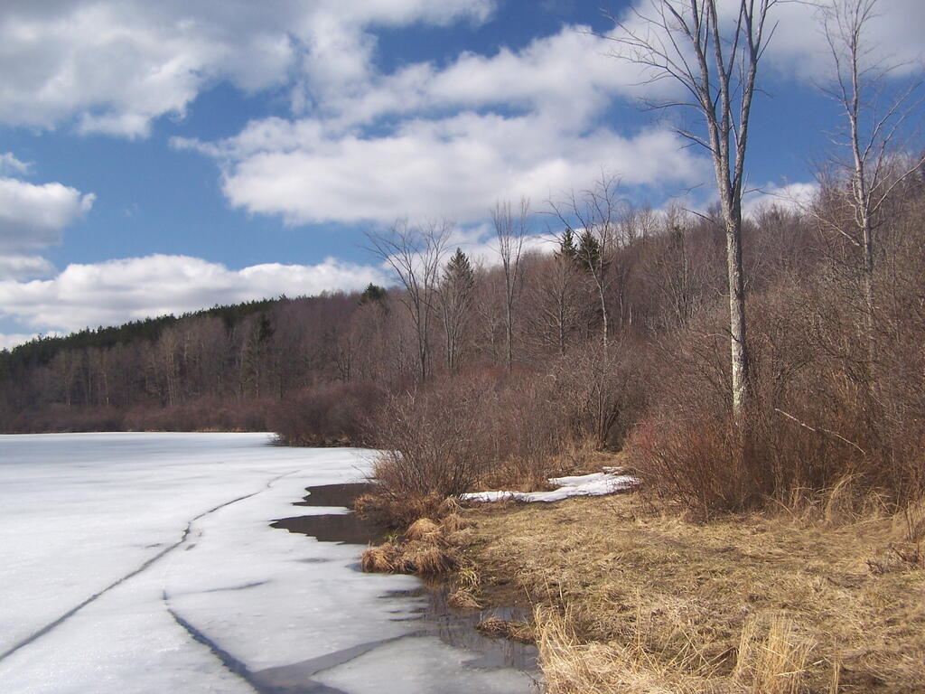 Photo: Fawn Lake Ice Photo: Fawn Lake Ice