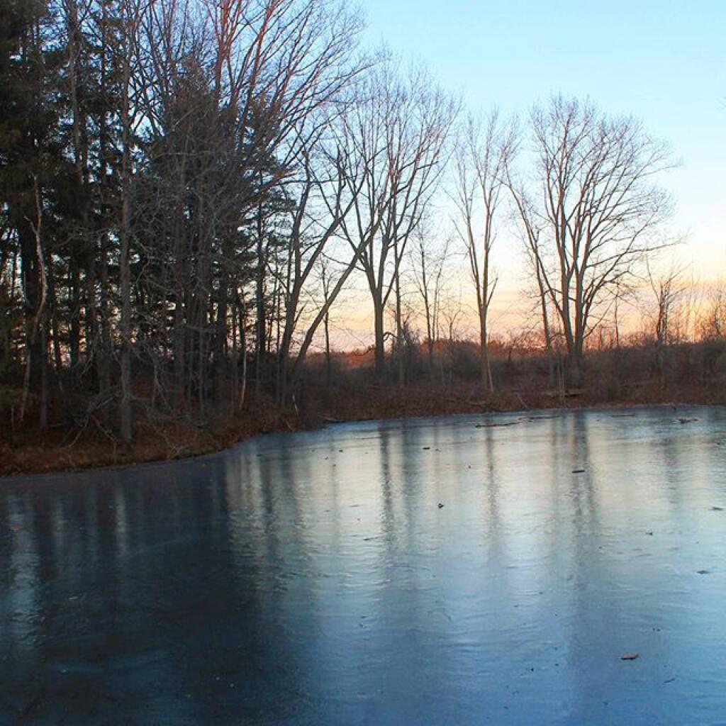 Photo: Ice