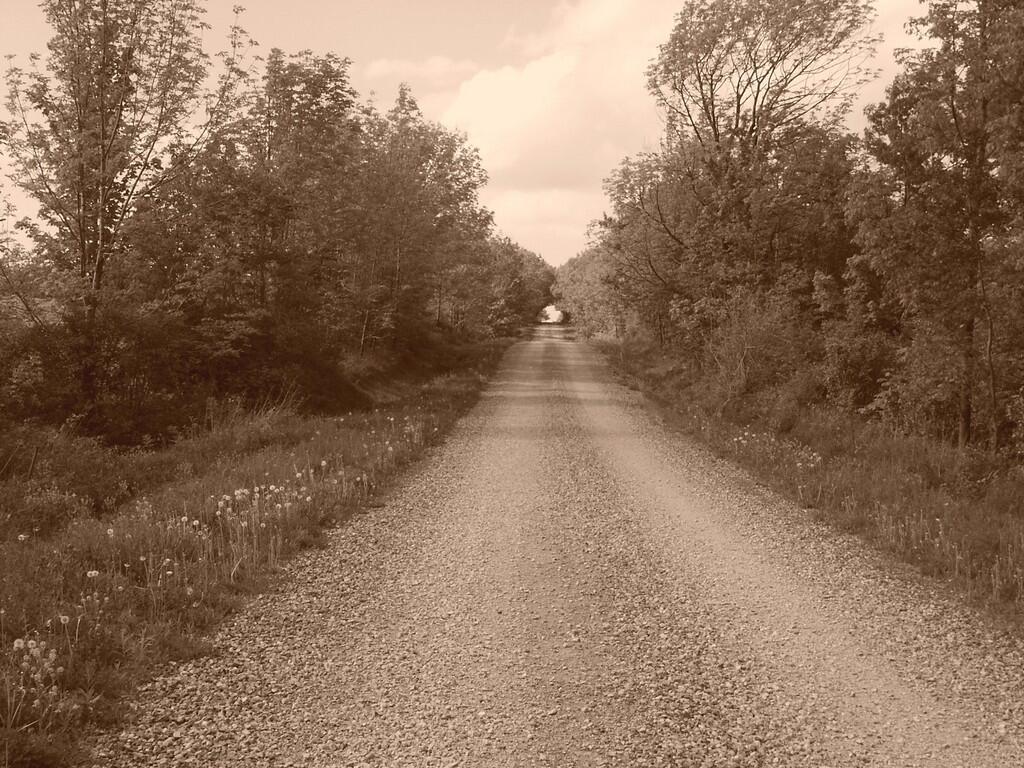 Photo: Kenyon Rd Photo: Kenyon Rd