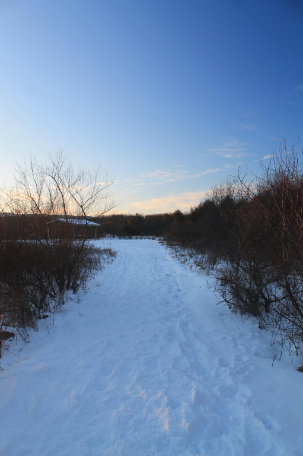 Photo: Winter's Evening Colors Photo: Winter's Evening Colors