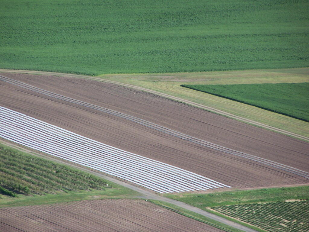 Photo: White Fields Photo: White Fields