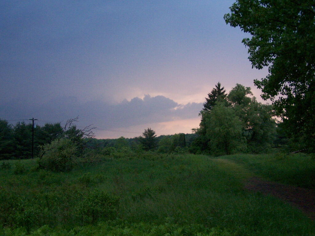 Photo: Rainy Evening at Five Rivers Photo: Rainy Evening at Five Rivers