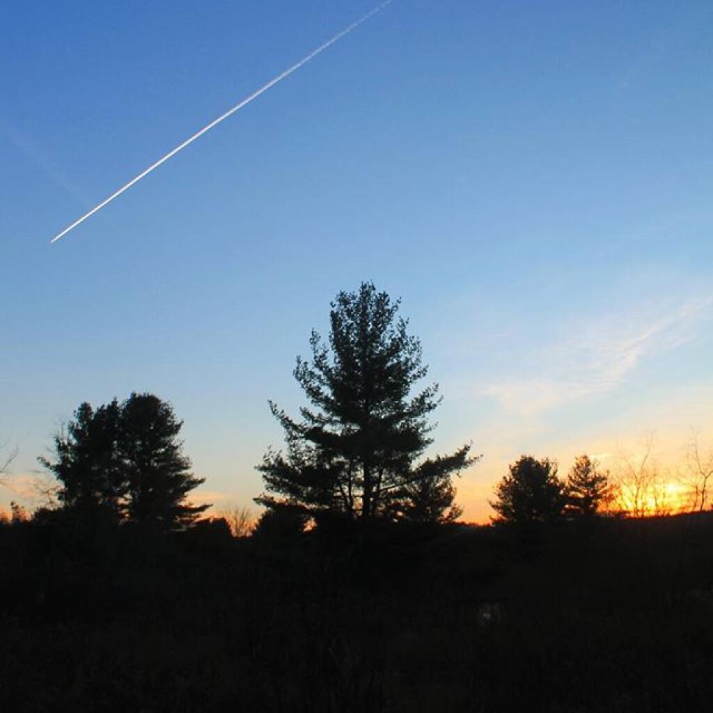 Photo: Make a wish Photo: Make a wish
