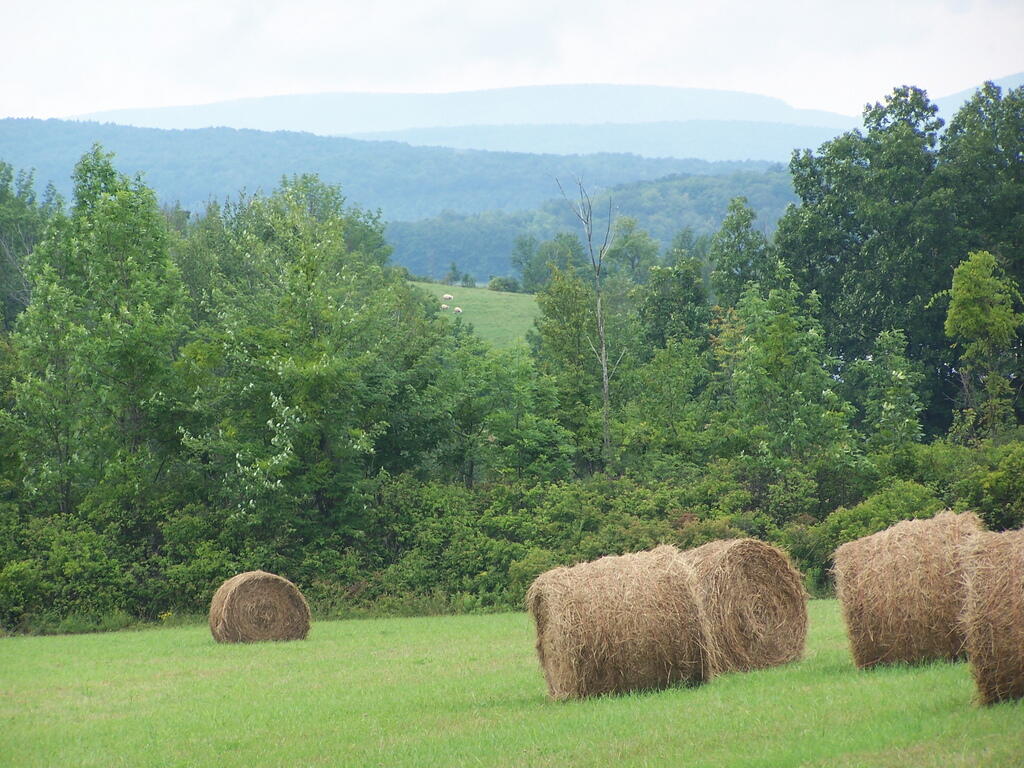 Photo: Raining on Hay Photo: Raining on Hay
