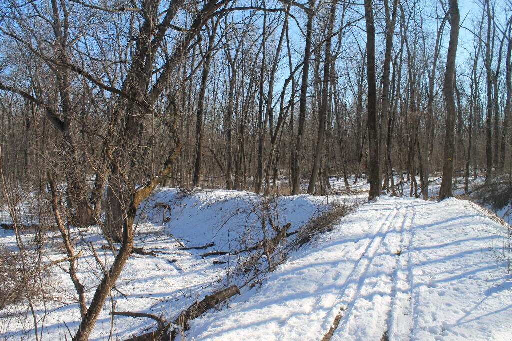 Photo: Following Old Woods Road Photo: Following Old Woods Road