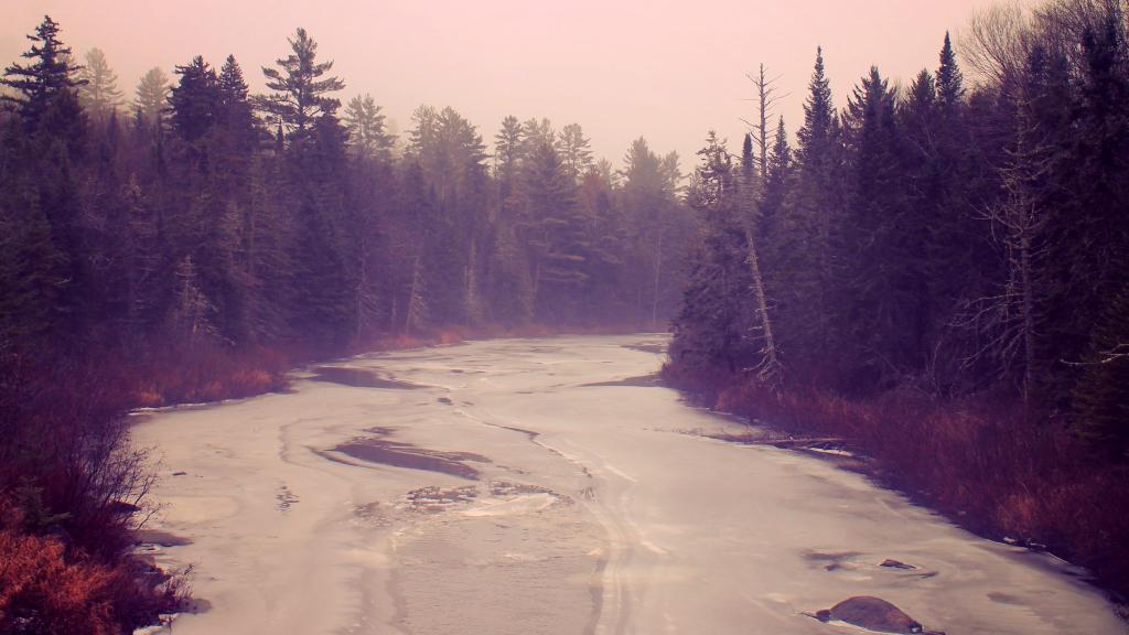 Photo: Dreary Winter Day Walking Along the Vanderwhacker Brook Photo: Dreary Winter Day Walking Along the Vanderwhacker Brook