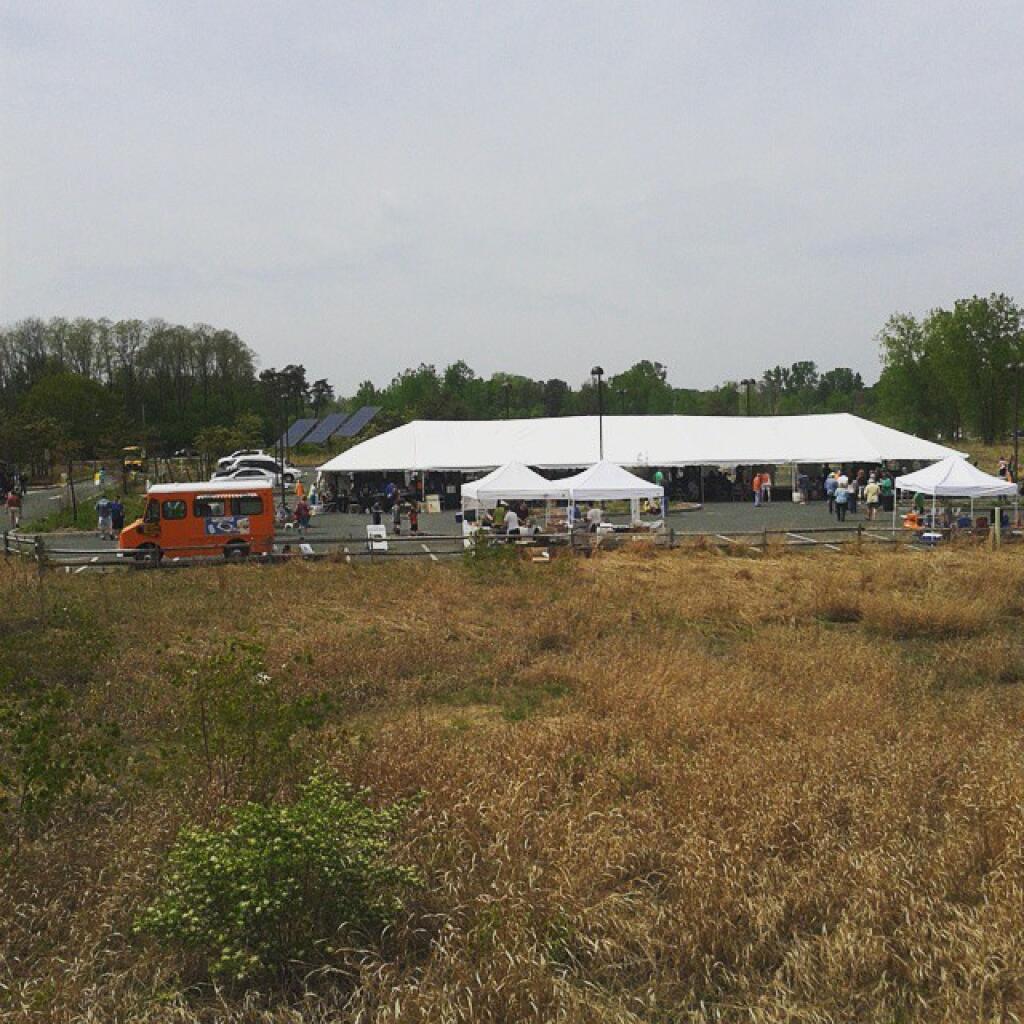 Photo: Lupinefest this afternoon Photo: Lupinefest this afternoon