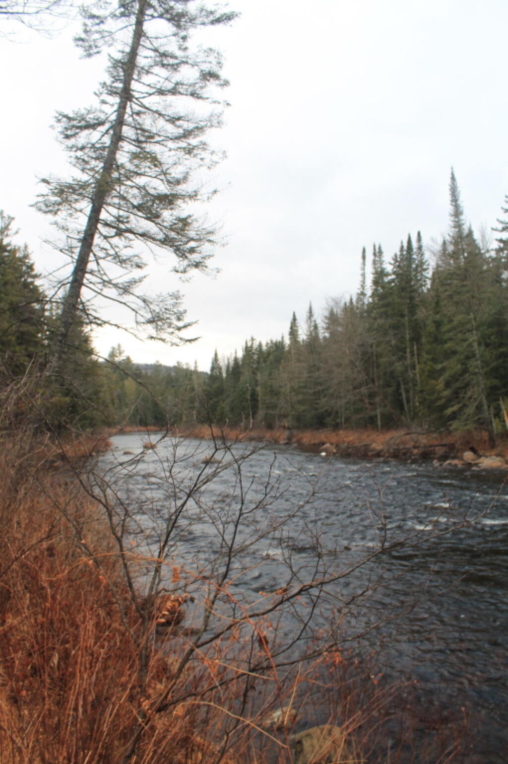 Photo: Boreas River
