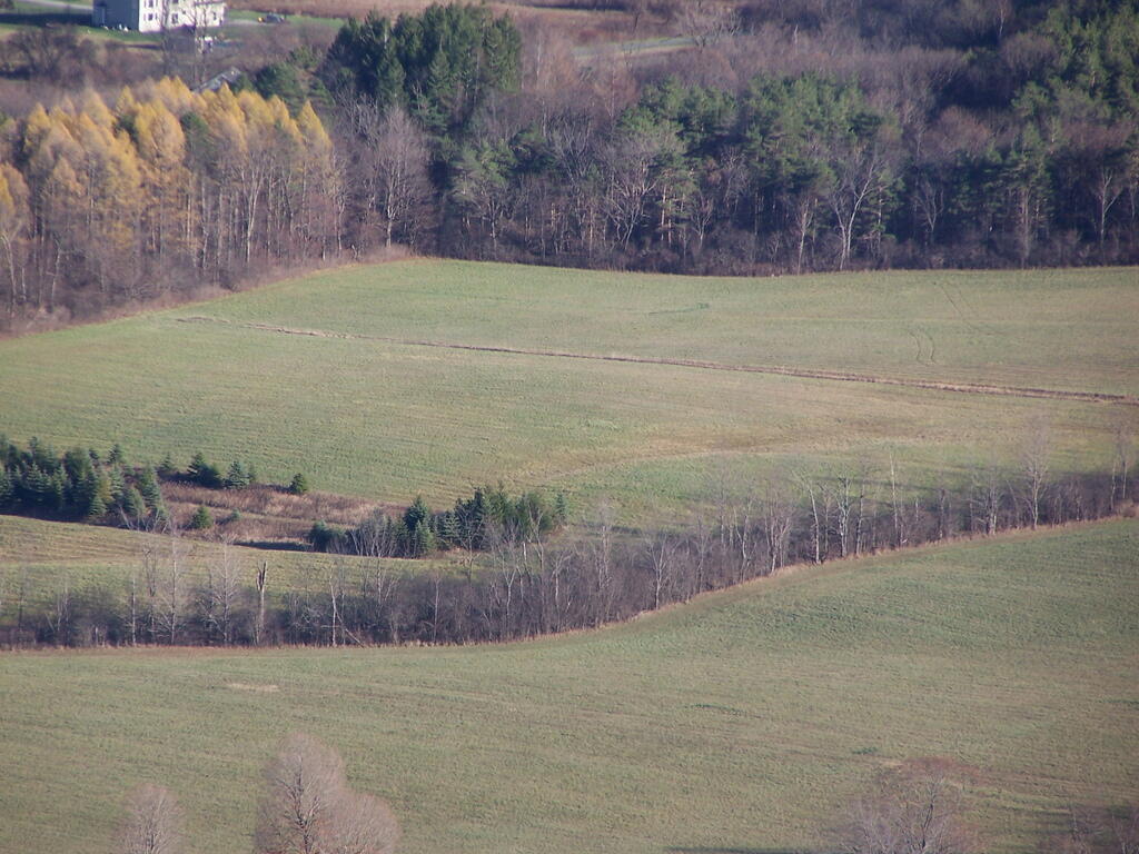 Photo: Farm Fields