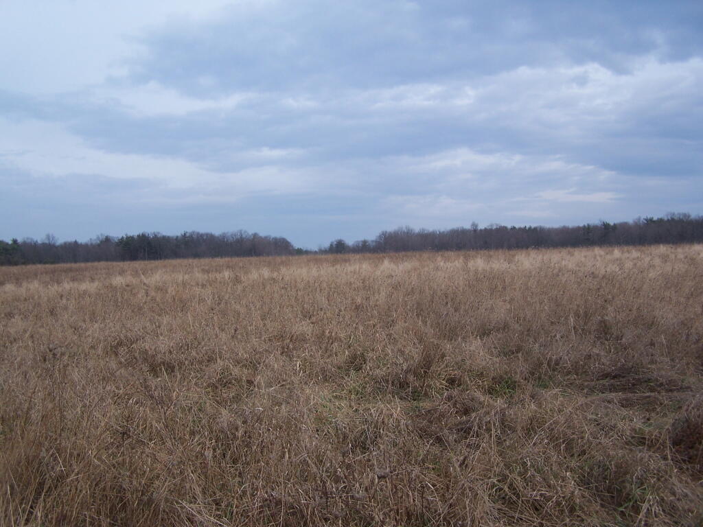 Photo: Snow Field Photo: Snow Field