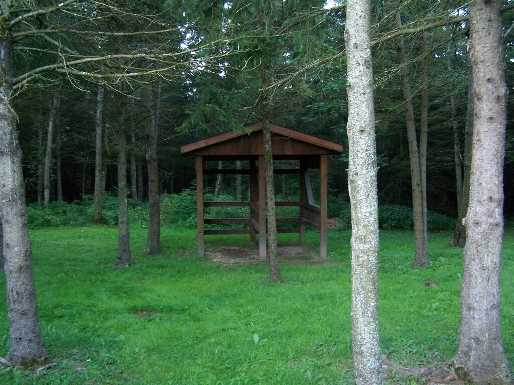 Photo: Horse Stalls