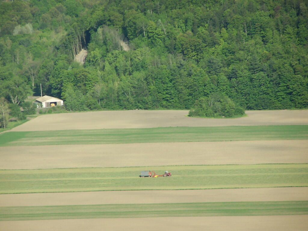 Photo: Chopping Hay Photo: Chopping Hay