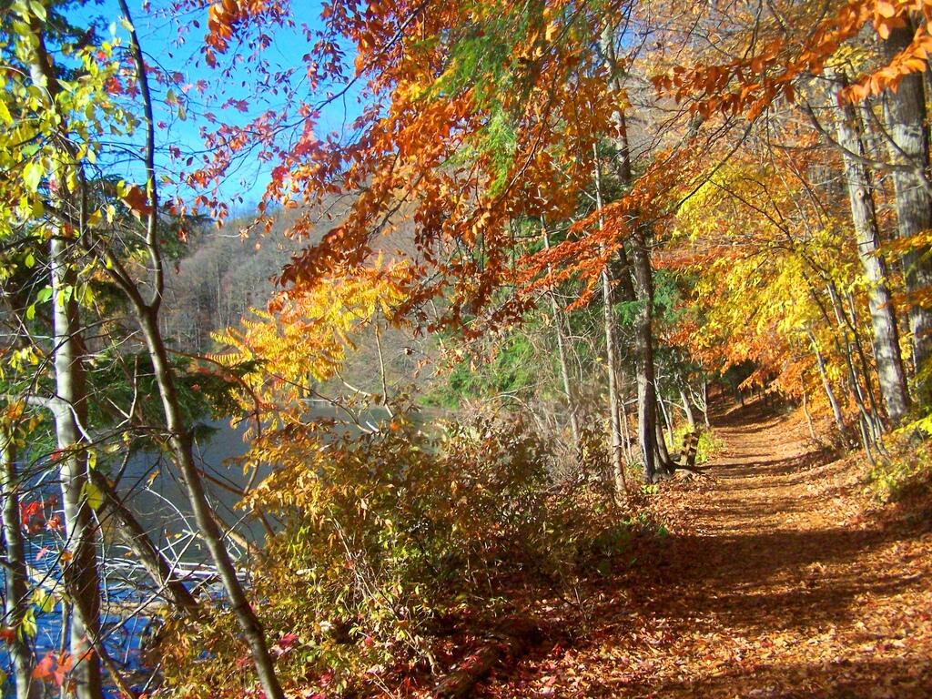 Photo: Color Along Lake Photo: Color Along Lake