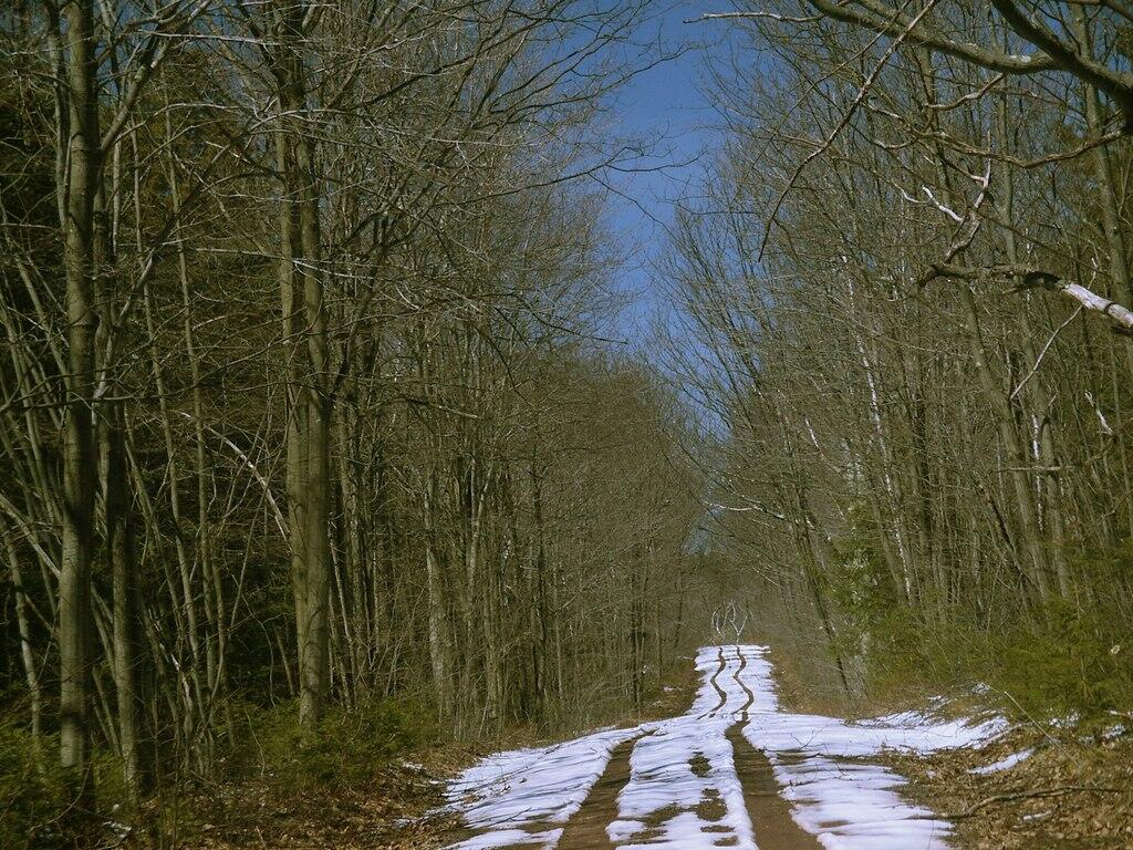 Photo: Melt Road Photo: Melt Road