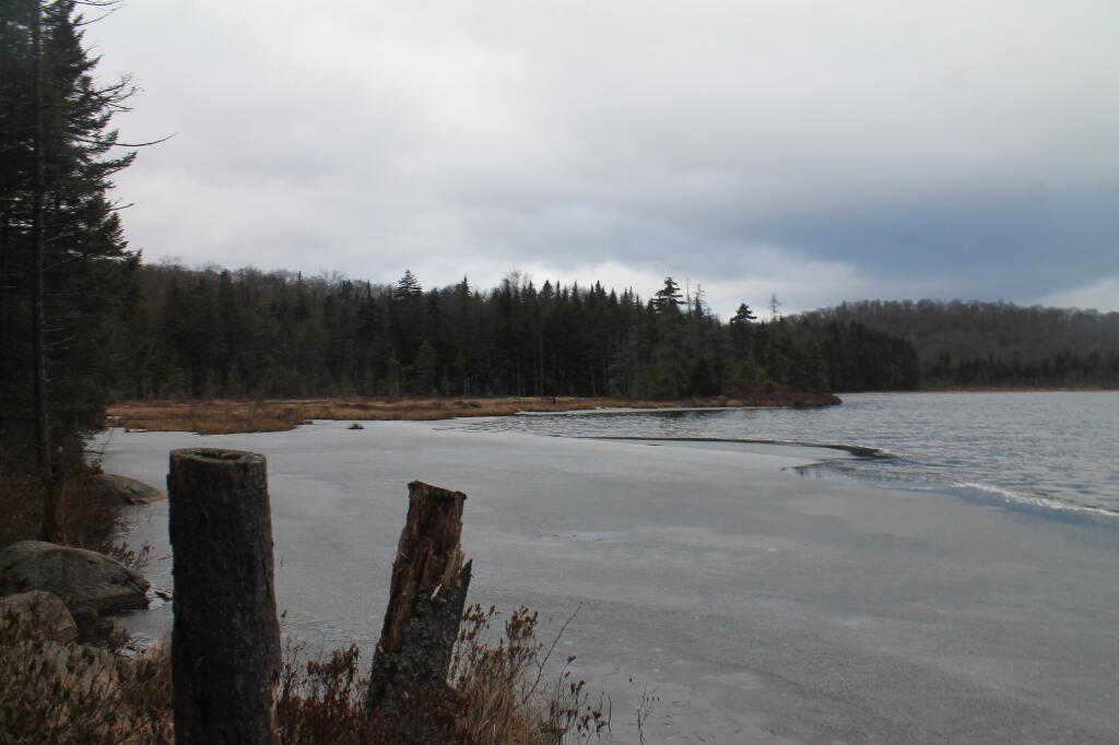 Photo: Southeast Across Rankin Pond Photo: Southeast Across Rankin Pond